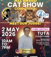 CAT SHOW
